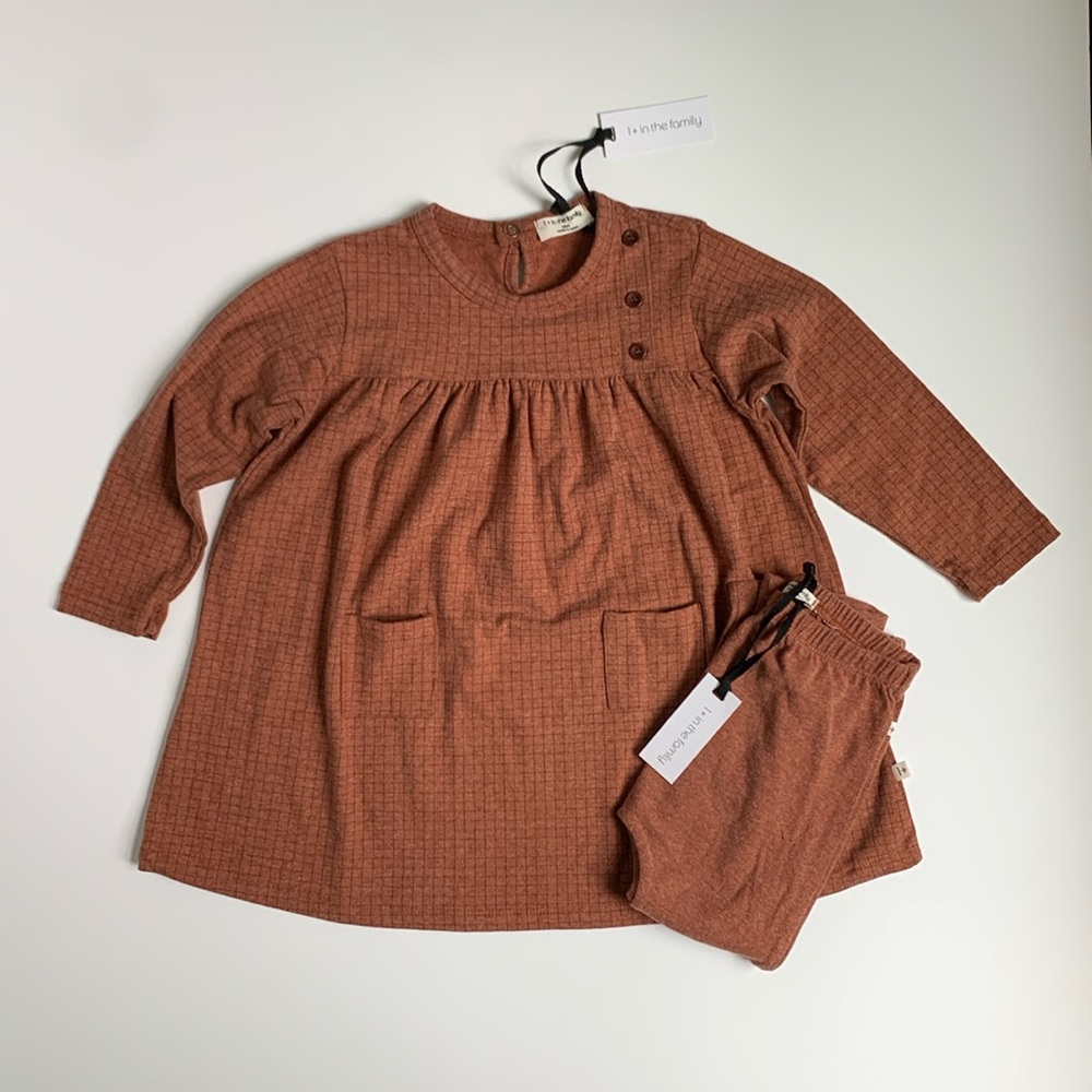 1 + in the Family Dress and Legging Bundle NWT 36M